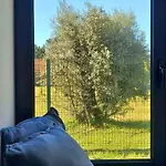 Πάρκο διακοπών Quinta Chaouen Mouronho