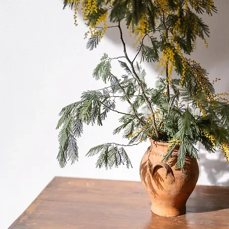 Ferienpark Casa Chaouen Mouronho